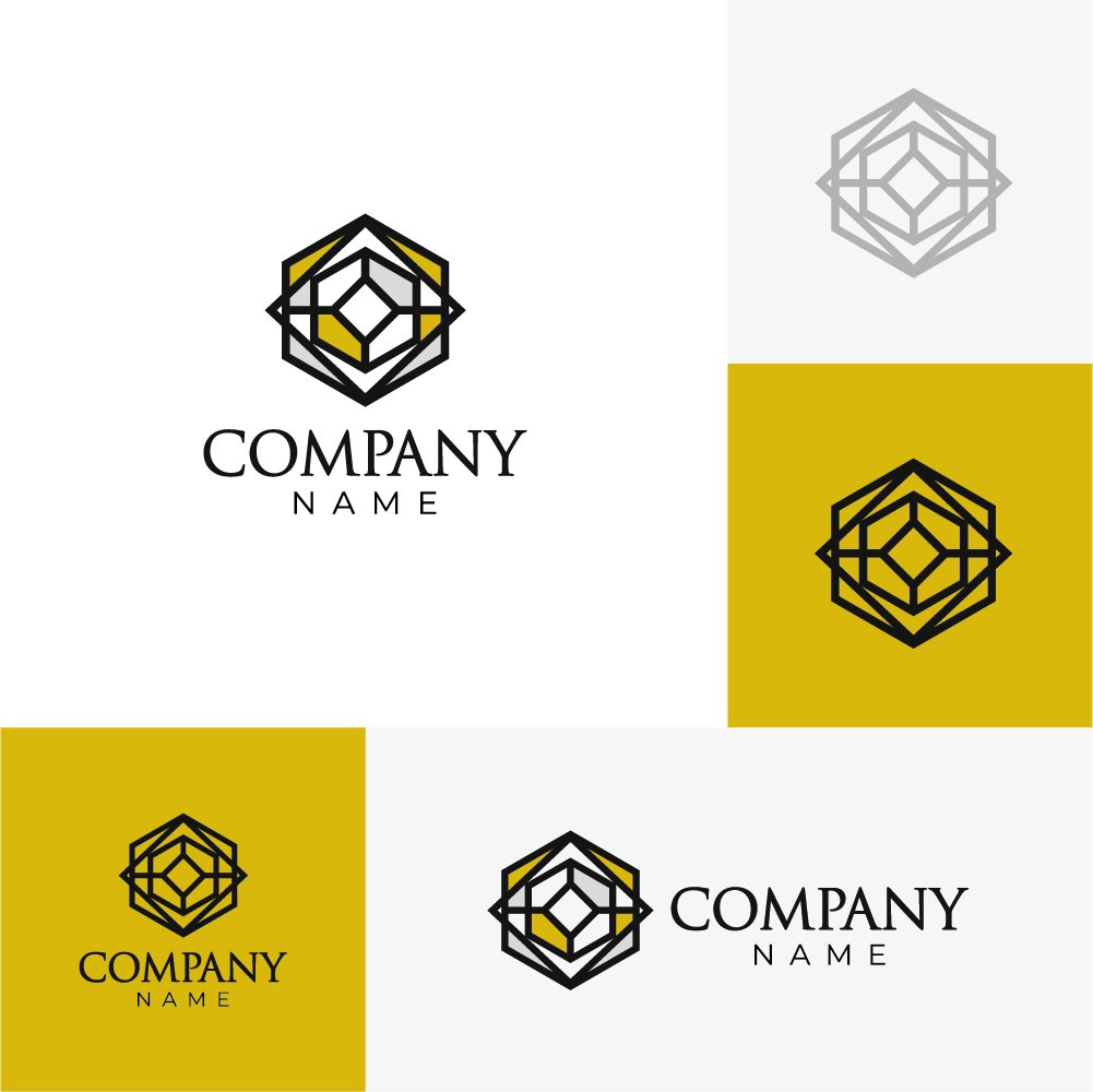 Hexagon Glass Vector Logo variations